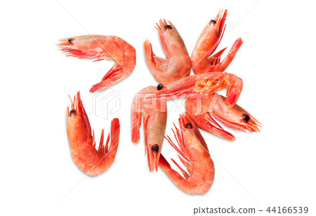 small shrimp small shrimp 44166539