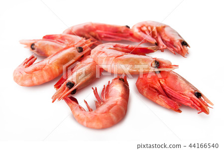 small shrimp small shrimp 44166540