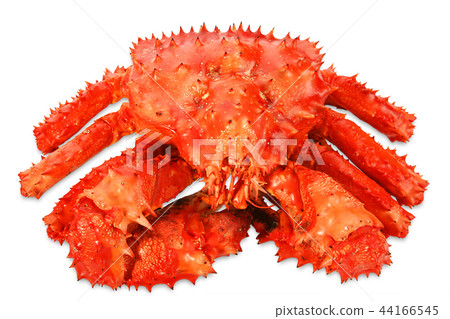 Big Kamchatka crab 44166545