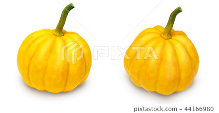 Two mini pumpkins 44166980