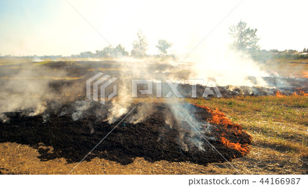 Forest field fire and heavy smoke. 44166987