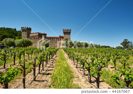 Vineyards with castle in California Vineyards with castle in California 44167067