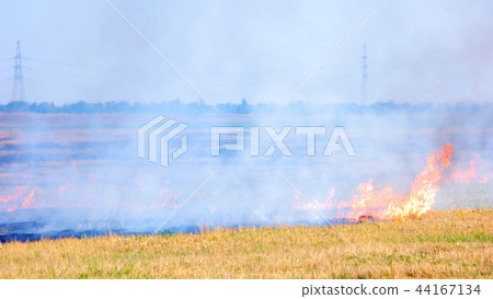 Dry field fire burning. Dry field fire burning. 44167134