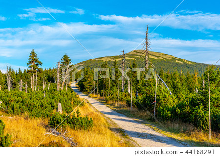 Tourist road in the middle of mountain landscape, Giant Mountains, Krkonose, Czech Republic 44168291