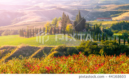 Evening in Tuscany. Hilly Tuscan landscape with cypress trees alley and farm house, Italy Evening in Tuscany. Hilly Tuscan landscape with cypress trees alley and farm house, Italy 44168603
