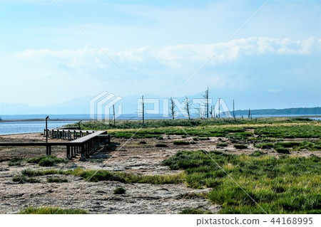 Notsuke Peninsula "Todowara" "Betsukai Town" 44168995