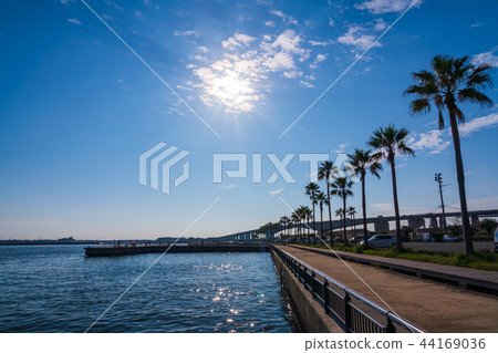(靜岡縣)Hamana Lake Shima Seaside Park (靜岡縣)Hamana Lake Shima Seaside Park 44169036