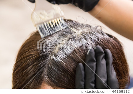 Hair dresser apply chemical color dye onto hair 44169112