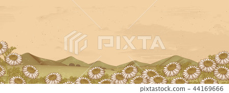 Chamomile floral field 44169666