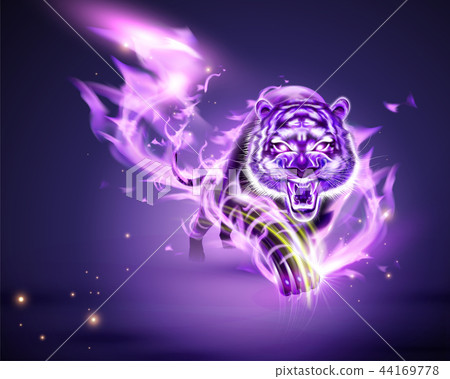Tiger with purple burning flame 44169778