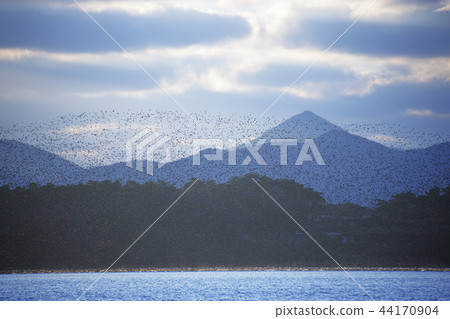 Jeollabuk-do, Korea, Gochang, Donglim Reservoir 44170904