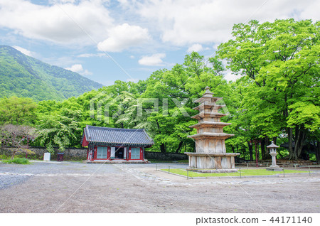 忠南,韓國,扶餘,Muju 忠南,韓國,扶餘,Muju 44171140
