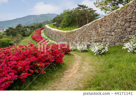 全羅北道，韓國，高敞，高昌邑 44171141