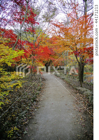 Jeollabuk-do, Korea, Jeongeup, Busan 44171213