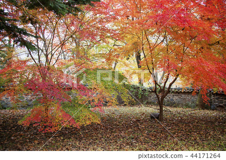 Chungnam, South Korea, Buyeo, Muju 44171264