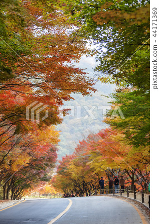 Jeollabuk-do, Korea, Jeongeup, Busan 44171369