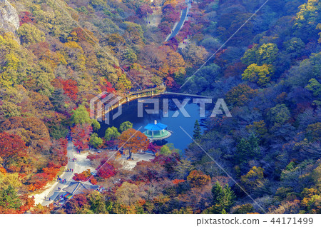 Jeollabuk-do, Korea, Jeongeup, Busan 44171499
