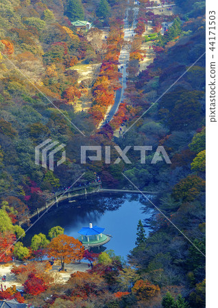 Jeollabuk-do,韓國,Jeongeup,釜山 Jeollabuk-do,韓國,Jeongeup,釜山 44171503