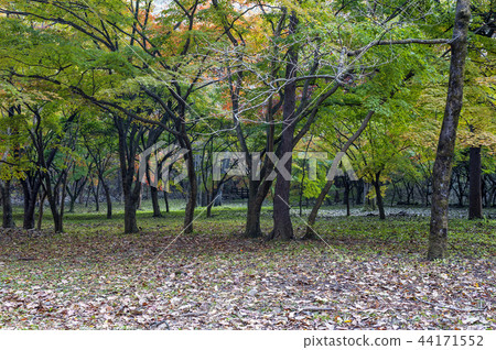 Jeollabuk-do, Korea, Jeongeup, Busan 44171552