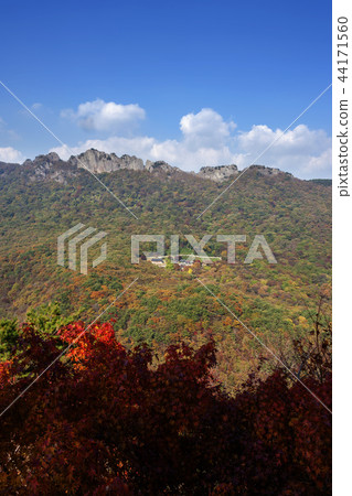 Jeollabuk-do, Korea, Jeongeup, Busan 44171560