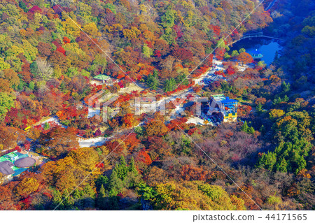 Jeollabuk-do, Korea, Jeongeup, Busan 44171565