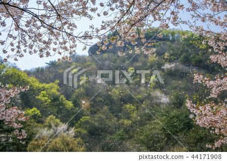 全羅北道，韓國，Maesan 44171908