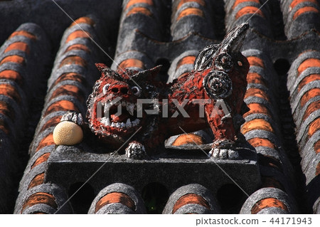 SHISA 44171943