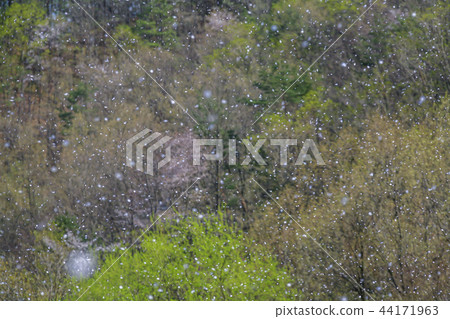 全羅北道,韓國,Maesan 全羅北道,韓國,Maesan 44171963