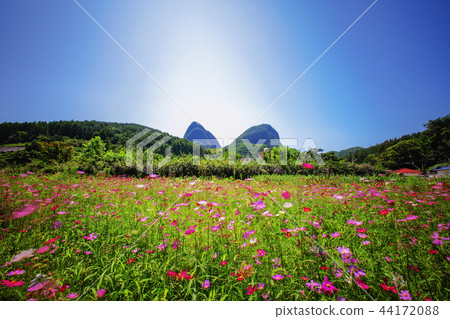 Jeollabuk-do, Korea, Maesan 44172088
