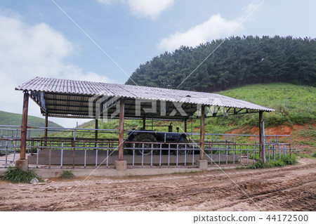 Chungnam, Korea, Seosan, Seosan Ranch Chungnam, Korea, Seosan, Seosan Ranch 44172500