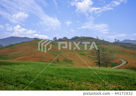 韓國忠南,Seosan,Seosan Ranch 韓國忠南,Seosan,Seosan Ranch 44172832