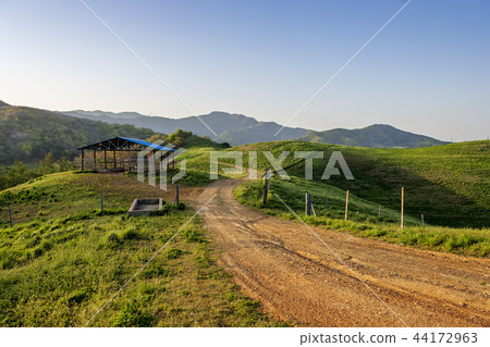 Chungnam, Korea, Seosan, Seosan Ranch 44172963
