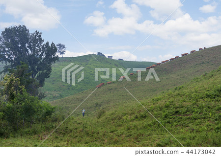 Chungnam, Korea, Seosan, Seosan Ranch Chungnam, Korea, Seosan, Seosan Ranch 44173042