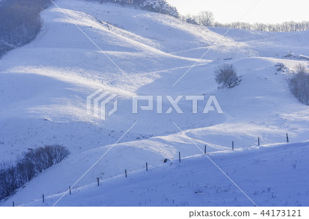 Chungnam, Korea, Seosan Ranch 44173121