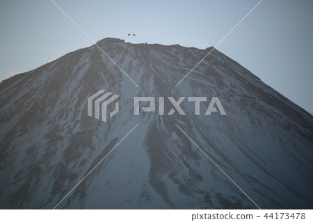 富士山和候鳥 富士山和候鳥 44173478