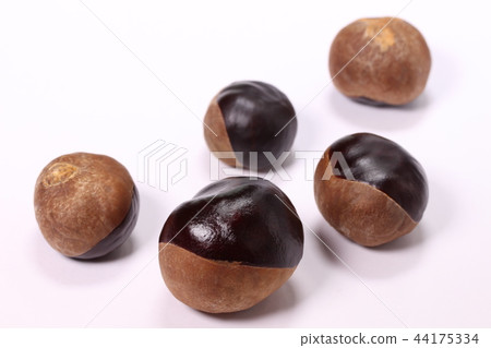 Toch nuts Toch nuts 44175334