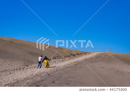 (Shizuoka Prefecture) People walking on Nakatajima sand dunes (Shizuoka Prefecture) People walking on Nakatajima sand dunes 44175800
