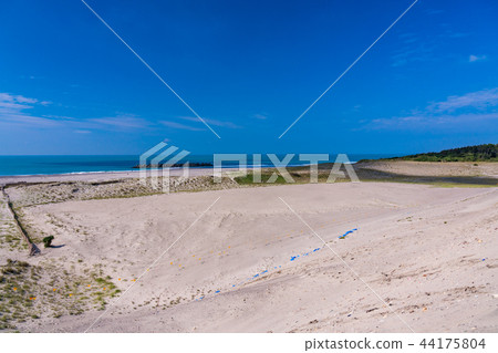 (靜岡縣)中島沙丘 (靜岡縣)中島沙丘 44175804