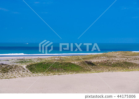 (Shizuoka Prefecture) Nakatajima sand dune (Shizuoka Prefecture) Nakatajima sand dune 44175806