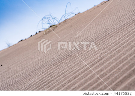 （靜岡縣）中島沙丘 44175822