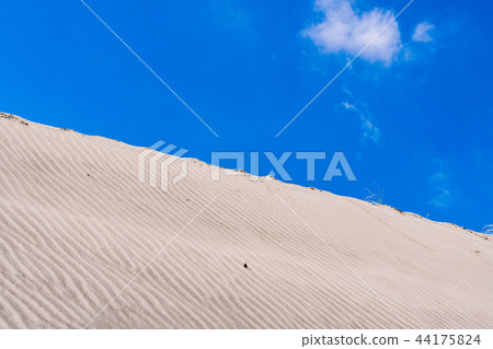 (Shizuoka Prefecture) Nakatajima sand dune (Shizuoka Prefecture) Nakatajima sand dune 44175824