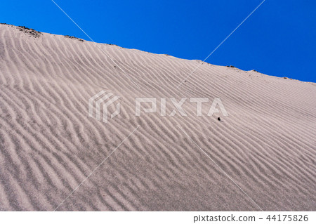 （靜岡縣）中島沙丘 44175826