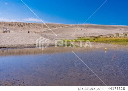 (Shizuoka Prefecture) Nakatajima sand dune 44175828