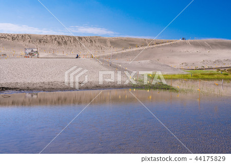 (Shizuoka Prefecture) Nakatajima sand dune 44175829