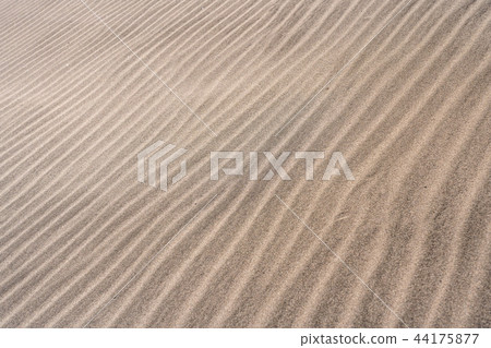 (Shizuoka Prefecture) Windprints of Nakatajima sand dunes 44175877