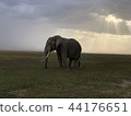 African statue 44176651