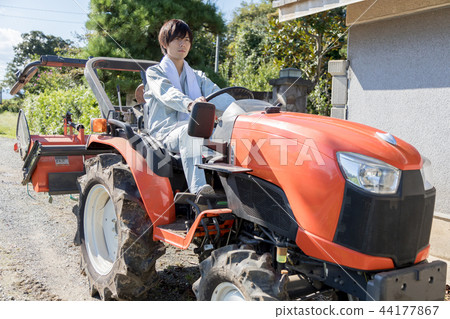 Country life   44177867