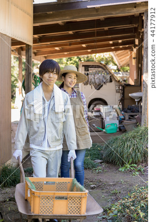 Country life   44177912