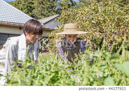 Country life Country life 44177921