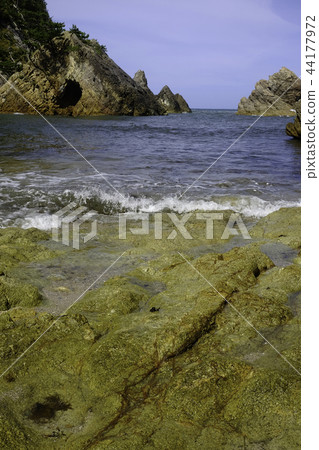 沿海景觀·薩寧海岸 44177972